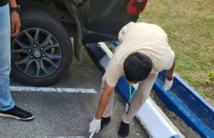Warga emas ditahan miliki 34 katak tanpa permit