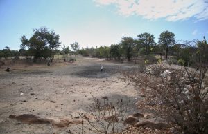 This year’s El Nino likely to become record-breaker – Expert