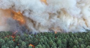 Gambar pada 12 Julai 2026 oleh Jabatan Bomba SDIS 77 menunjukkan kebakaran besar sedang marak di Hutan Fontainebleau, Perancis.