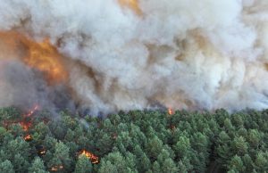 Gambar pada 12 Julai 2026 oleh Jabatan Bomba SDIS 77 menunjukkan kebakaran besar sedang marak di Hutan Fontainebleau, Perancis.