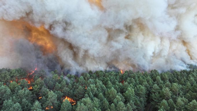 FRANCE-FIRE-AFP Gambar pada 12 Julai 2026 oleh Jabatan Bomba SDIS 77 menunjukkan kebakaran besar sedang marak di Hutan Fontainebleau, Perancis.
