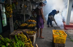 Sri Lanka kerah askar perangi aedes