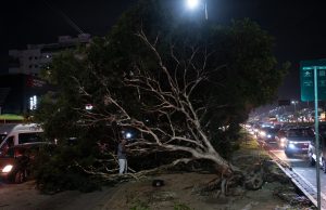 Five killed as fierce winds bring chaos to Rio, Sao Paulo region