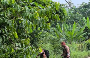 Warga emas hilang selepas keluar ke kebun