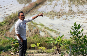 Aidil komited perjuang isu sawah padi, kemudahan belia di Juasseh