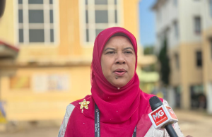 Noorzunita harap mandat kekal di DUN Pilah