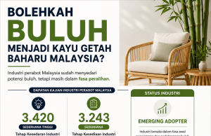 Bolehkah buluh jadi kayu getah baharu Malaysia?