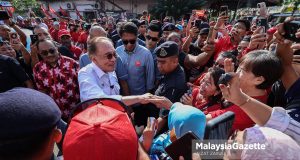 pengerusi pakatan harapan