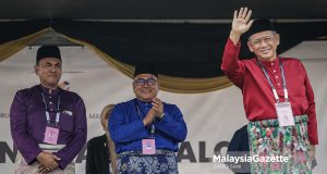 DUN Linggi