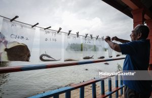 Jeti Nelayan Kampung Teluk Pelanduk