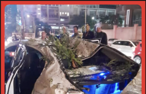 Seorang Maut, 7 Sekeluarga Selamat Kereta Dihempap Pokok