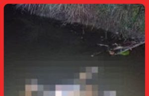 Kanak-Kanak OKU Hilang Ditemukan Maut Dalam Parit #MGFlash