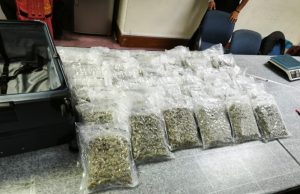 AKPS rampas bunga ganja bernilai RM1.69 juta di KLIA