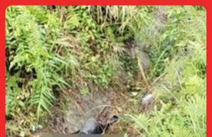 3 Hari Hilang, Jasad Ditemukan Dalam Parit #MGFlash