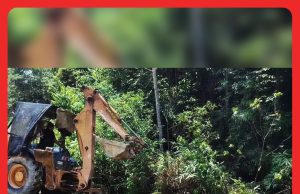 Bangkai Anak Gajah Mati Di Mersing Ditanam Ikut SOP #MGFlash
