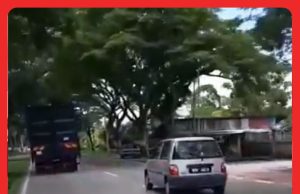 pemandu kancil terhuyung hayang berbahaya