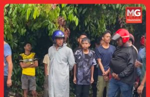 Lelaki Maut Dihempap Pokok Tumbang #MGFlash