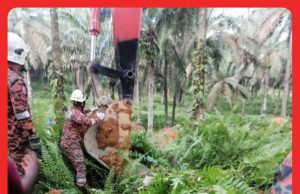 Wanita Maut Dihempap Pokok Kelapa Sawit #MGFlash