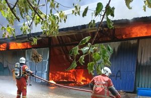 Kilang papan plywood terbakar