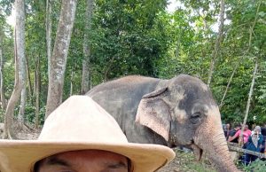 Adakah Zoo Tennoji Osaka mampu menjalani pembiakan haiwan spesies terancam?