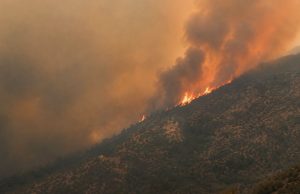 Spain declares national emergency in Madrid region over forest fires