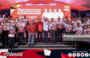 Aminuddin di Linggi, Loke DUN Chennah! Senarai Calon PH Bagi PRN N9 Diumum