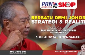 Bersatu Demi Johor, Strategi Dan Realiti