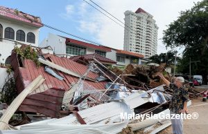 Dua hari selepas pokok tumbang, rumah masih persis kawasan dilanda bencana