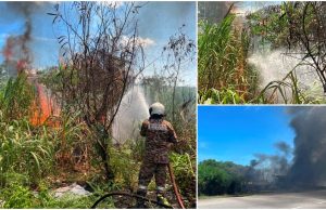 Hutan seluas dua hektar di Pelabuhan Klang terbakar