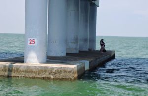 Tiga warga tempatan ditahan ceroboh kawasan larangan bawah Jambatan Pulau Pinang