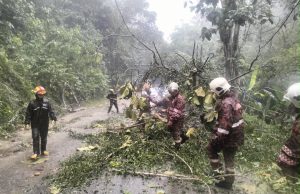 Dua warga emas cedera, pacuan empat roda dihempap pokok di Bentong