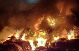 Pulau Burung terbakar lagi, empat jam operasi padam api