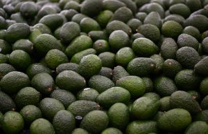 US partially resumes avocado inspections in Mexico