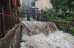 Typhoon Dolphin weakens but disrupts travel in east China