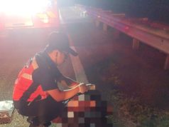 Lelaki maut, rakan cedera kereta langgar lembu