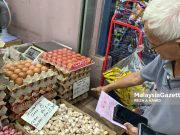 Harga telur naik setiap minggu kerana cuaca, ayam pembekal dijangkiti penyakit – Peniaga