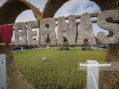 Kerajaan pantau Bernas patuhi perjanjian, jamin stok penimbal beras