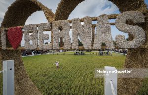 Kerajaan pantau Bernas patuhi perjanjian, jamin stok penimbal beras