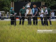 SSR beras perlu capai 80 peratus untuk keterjaminan makanan lebih selesa – Mat Sabu