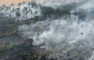 15 hektar kawasan paya gambut terbakar di Sebana Cove berjaya dipadamkan