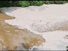 JAS, MPP diminta segera siasat dakwaan pencemaran sungai di Taman Desaru Utama