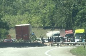Lagi kejadian pokok tumbang di Bentong