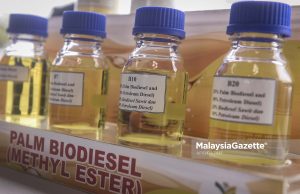 Dasar biodiesel: Malaysia tak perlu berlumba, janji konsisten