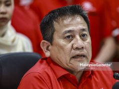 Penggantungan PN bagi hentikan tindakan unilateral kepimpinan – Tun Faisal