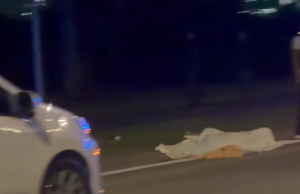2 penunggang basikal maut dirempuh kenderaan di Putrajaya – Polis