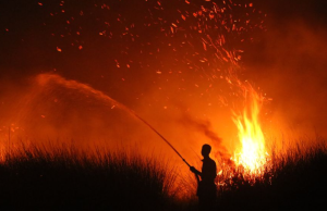 Jumlah titik panas di Kalimantan meningkat lebih 50%