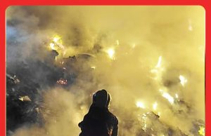 Pulau Burung Terbakar Lagi, 4 Jam Operasi Padam Api #MGFlash