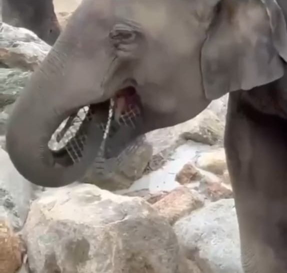 WhatsApp Image 2026-08-06 at 8.55.47 PM