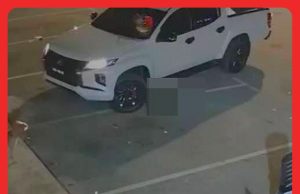 Tular Anak Anjing Digilis Dua Kali Hingga Mati #MGFlash