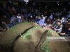 Tiga Sekeluarga Disemadi Satu Liang Lahad